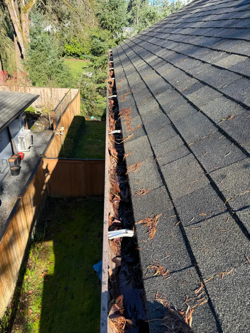 A gutter packed with leaves and debris before cleaning