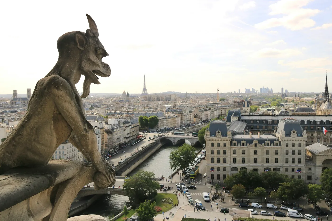 A stone gargoyle looking out over rooftops, keeping watch the way we keep watch over your home