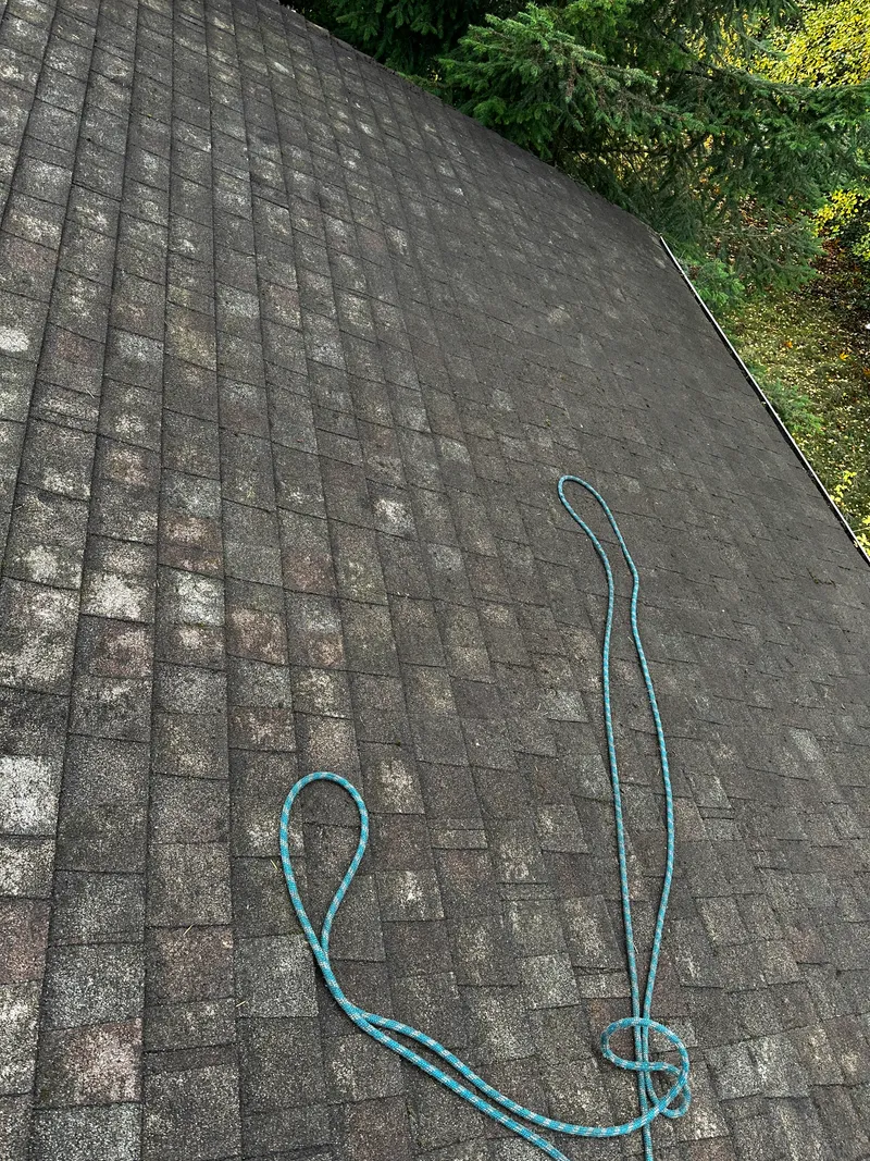 The same roof after debris and moss removal, shingles clear